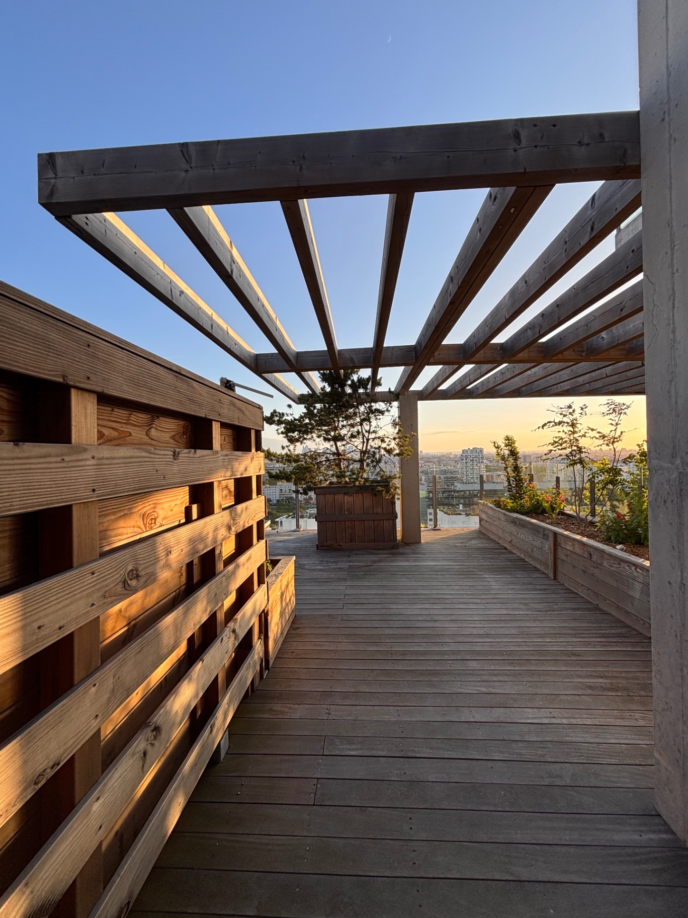 Passage sous pergola au crépuscule