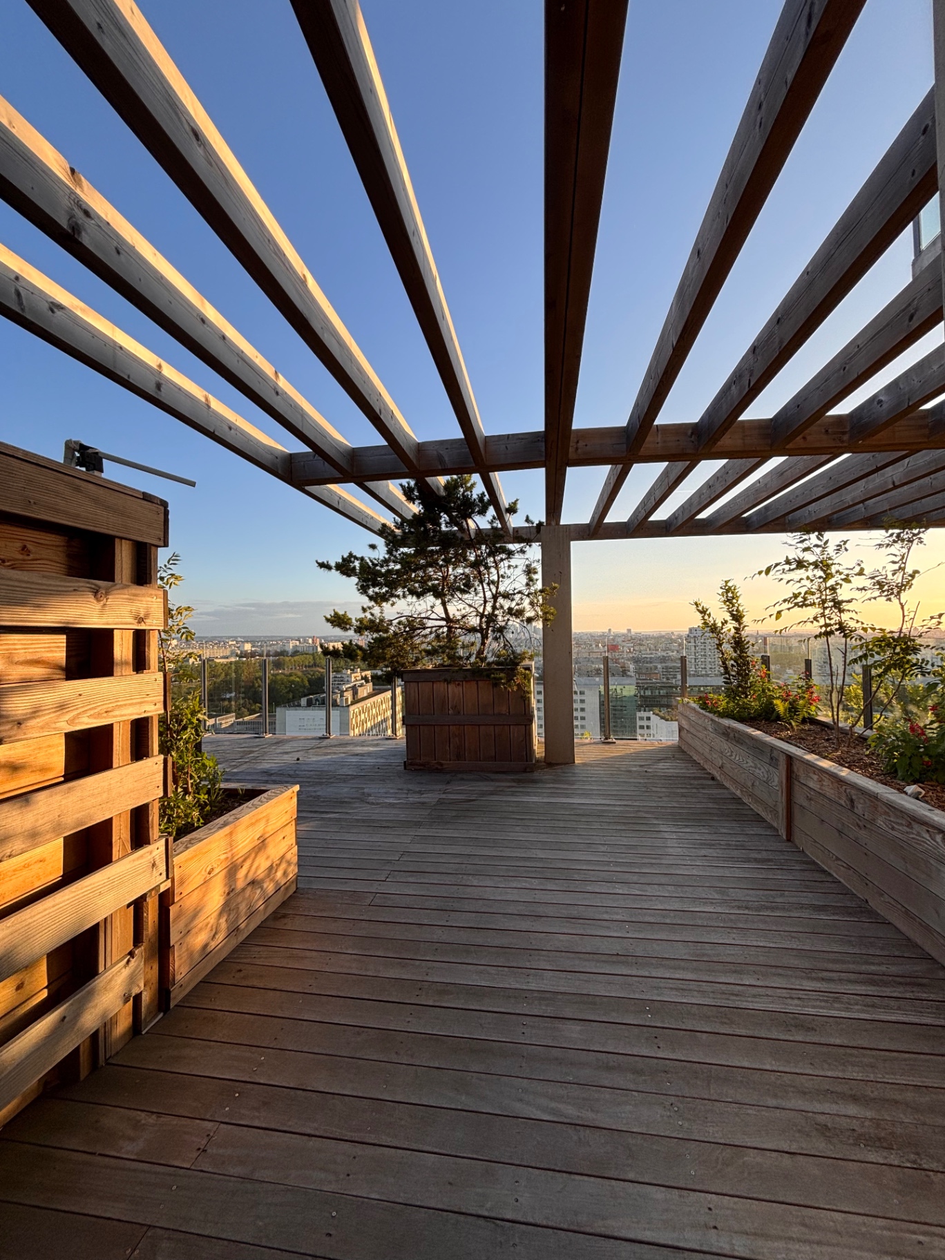 Pergola au soleil couchant